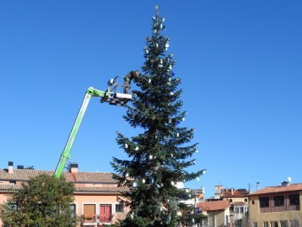 L'avet fa 20 metres i 10 centímetres, i és de l'espècie “abies nordmanniana”. Va ser decorat per escolars de Sant Hilari Sacalm. EL PUNT AVUI