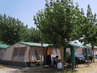 Unes tendes del càmping El Delfin Verde, de Torroella de Montgrí, una instal·lació que l'any passat va complir 50 anys. I.BOSCH