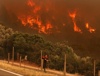 Els focs de l'Empordà van cremar deu mil hectàrees. LLUÍS SERRAT