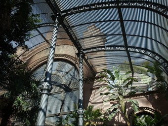 L'umbracle de la Ciutadella de Barcelona va ser projectat per Josep Fontseré i Mestres.  ARXIU