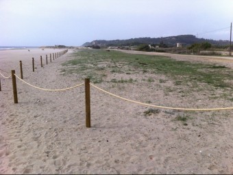 La platja d'Altafulla de la Roca de Gaià ARXIU