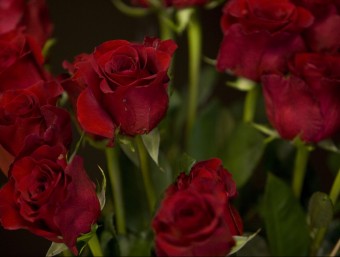 Les roses vermelles continuaran sent les que més en venguin durant aquest Sant Jordi. MERCAT DE LA FLOR