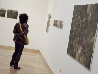Les obres que exposa el Museu d'Art Modern van ser pintades entre 2009 i 2010. J.C.L