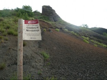 Les grederes del volcà Montsacopa estan ubicades estratègicament al centre d'Olot. J.C