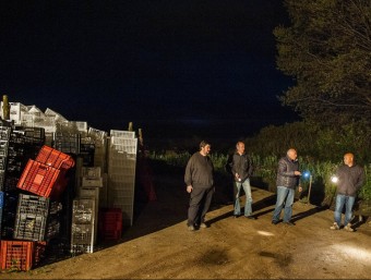 Un grup de pagesos de la zona agrícola del Pla de Grau de Malgrat de Mar patrullant durant la nit de divendres passat. JOSEP LOSADA