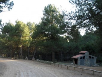 Zona d'acampada de la Font de Mariola al terme de Bocairent. B. SILVESTRE