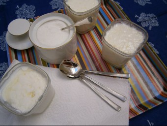 El iogurt pot servir per comparar-lo amb altres objectes per demostrar que del no sentit es pot passar al tenir sentit.  ARXIU