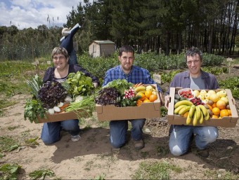 Treballadors del projecte de la Tavella amb les cistelles de fruita i verdura i el grup que s'encarrega de llaurar els camps, amb el tractor amb el què treballen EL PUNTAVUI