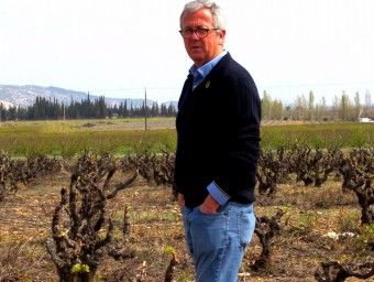 Josep Maria Pujol-Busquets, propietari d'Alta Alella, envoltat de les vinyes del celler.  L'ECONÒMIC