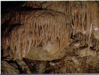 Una de les fotos que existeixen de la cova de Pont de Molins i que es van fer al 1968, quan s'hi ha entrar SEBASTIÀ DELCLÒS