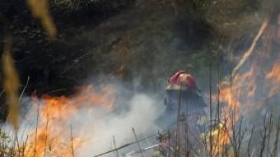 Es tracta del pitjor incendi forestal que s'ha produït a Mallorca des del 1999