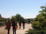 Un passeig pel món forestal és el que els visitants es troben a l'Arborètum de Lleida. ARXIU