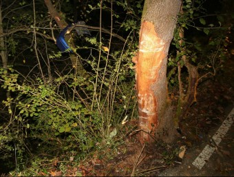 L'arbre on va picar el cotxe i un parafang penjat en una branca JOAN CASTRO / ICONNA