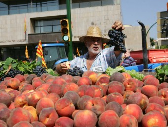 Entre els anys 2005 i 2012 les exportacions de fruita augmenten quasi un 60%.  ARXIU