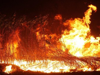 Les violentes flames cremen una zona de conreus al terme municipal de Jafre i que avançaven pel fort vent JORDI RIBOT / ICONNA