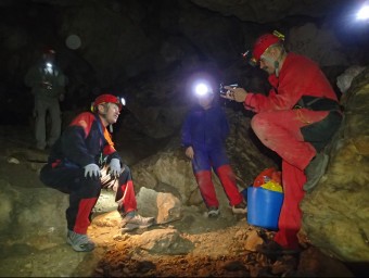 Uns voluntaris fan neteja a la cova. CEDIDA - AJUNTAMENT DE LLÍRIA