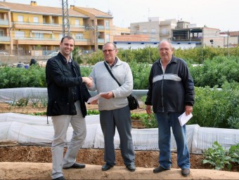 Vicente Miquel i Aurelio Crespo visiten les seues parcel·les amb el regidor d'Agricultura, Josep Arocas. EL PUNT AVUI