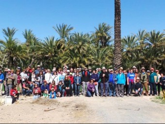 Participants en les jornades de descobert d'El Tempir. EL PUNT AVUI