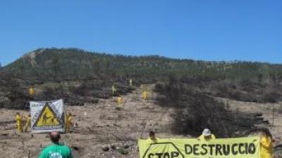 Membres d'Acció Ecologista Agró i ANAV (Asociación Naturalista de Ayora y el Valle) han realitzat l'acció de rpotesta i denúncia. EL PUNT AVUI
