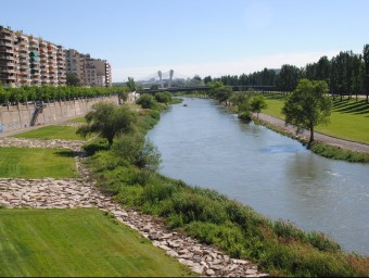Parc del riu Segre, que serà un dels eixos centrals de la nova ronda verda de Lleida J.TORT