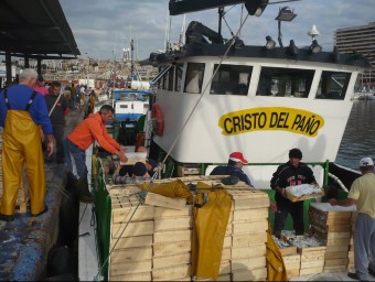 La tripulació vinguda d'Adra ahir al matí descarregant el peix a la llotja del port d'Arenys. E. FERRAN