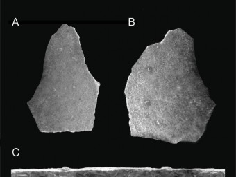 Els fòssils més antics corresponen a ous postos entre 71 i 66,5 milions d'anys ACN