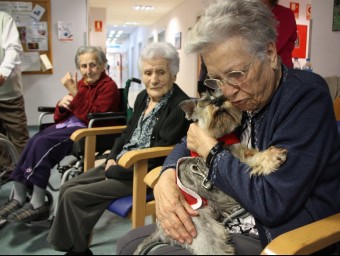 Una pacient amb un dels gossos ensinistrats. LOURDES CASADEMONT / ACN