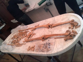 Els tècnics forenses estudien més a fons les restes trobades el 2001 als terrenys de Can Mils d'Arenys de Mar. AJ. D'ARENYS DE MAR