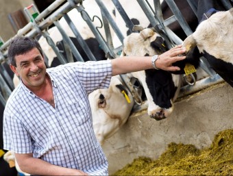 Jordi Riembau a la seva explotació ramadera de caràcter familiar, a Palau-sator. Té 85 vaques i dóna feia a tres persones.