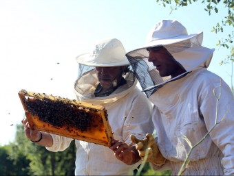 L'apicultor Josep Maria Magro amb un dels joves que treballa a la finca de can Parcala. QUIM PUIG