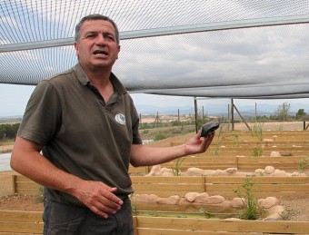 Joan Budó , director del CRT de Garriguella, en les noves instal·lacions amb un exemplar de tortuga d'estany que s'alliberaran al riu Ter JOAN SABATER