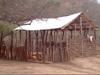 Un corral de gallines que Acció contra la Fam ha construit al Chaco, en una imatge presa per Eva Sánchez l'any passat EVA SÁNCHEZ