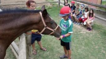 L'hora de l'hípica i el contacte amb els animals és un moment sempre especial en les colònies que es fan a Sant Esteve de Palautordera ORIOL DURAN