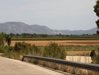Els terrenys on s'ha de construir la granja de porcs estan a la carretera entre Vila-sacra i Vilanova dela Muga. JOAN SABATER