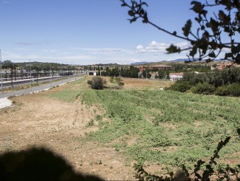 L'entorn de l'estació del TAV al terme de Vilafant és actualment un sector agrícola que s'ha de transformar en un nou barri. JORDI RIBOT / ICONNA