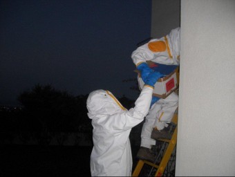 Agents rurals en el moment de la retirada del niu de vespa asiàtica d'una casa de Roses la matinada de dimarts . EL PUNT AVUI