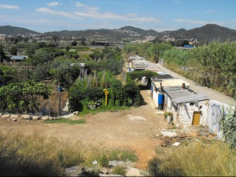 Alguns dels horts il·legals i les casetes a tocar del riu Llobregat que l'Ajuntament de Sant Feliu vol reordenar EL PUNT AVUI