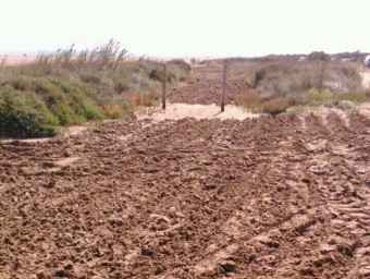 La zona on s'ha actuat per tancar un camí a la platja de Can Martinet . EL PUNT AVUI