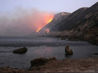 Incendi forestal del passat setembre al Montgó. EL PUNT AVUI