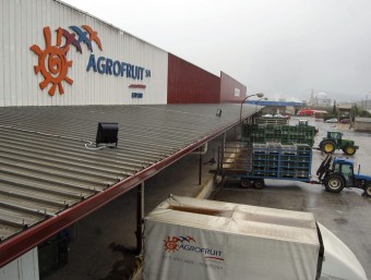 La pluja d'ahir va provocar que no es descarreguessin camions de mandarines a Agrofruit. EFE/ SOFIA CABANES