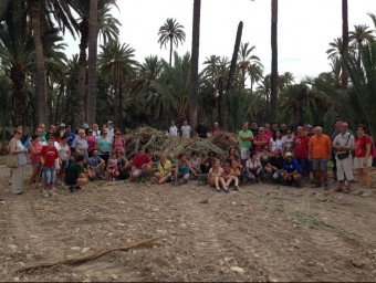 Militants de Compromís el passat setembre als horts de palmeres d'Elx. EL PUNT AVUI
