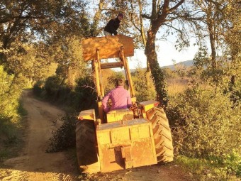 Una imatge de les suposades tasques de poda sense permís denunciades per la plataforma SALVEM SOLIUS