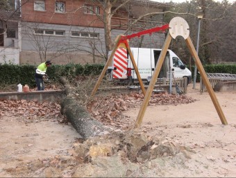 Treballadors de l'ajuntament d'Anglès, enretirant l'arbre caigut al parc de la Font del Canyo, ahir al matí AJUNTAMENT D'ANGLÈS