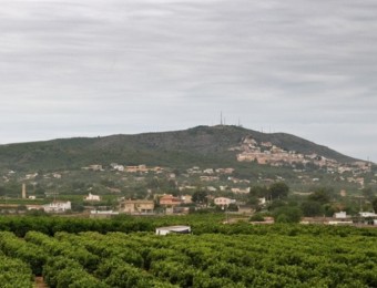 Vista de la Serra Perenxisa des del Mas del Jutge. CEDIDA