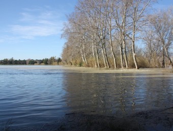 Una terreny agrícola de la zona del Camí del Mig de Tortosa, inundada amb un metre d'aigua ACN