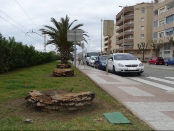 Imatge d'arxiu del passeig marítim de Pineda amb alguns exemplars de palmera canària tallats. Avui pràcticament ja no en queden. T.M