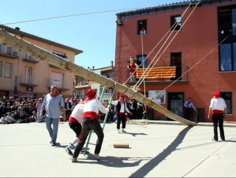 L'espectacular moment de l'hissada de l'arbre, el més gran mai plantat ACN