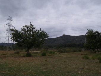 Un dels paratges del sector de Llevant, entre Viladecans i Sant Boi EL PUNT AVUI