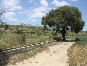 Imatge d'una pista forestal al terme municipal de Garrigoles a tocar de Jafre, zona on aquest matí s'ha trobat el cadàver del motorista ACN