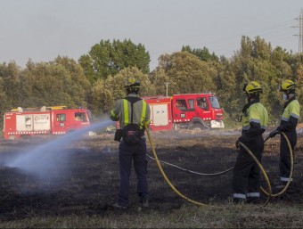 Les flames van calcinar 1.100 m² a Montfullà, al terme de Bescanó. JORDI RIBOT (ICONNA)
